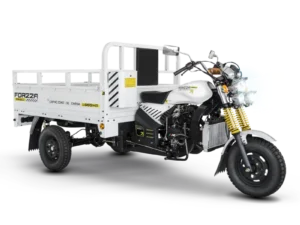 FORZZA 300