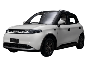 AUTO VIVO